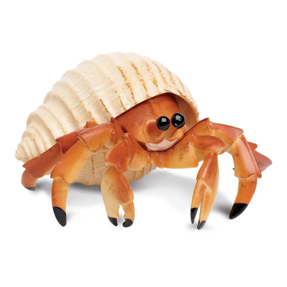 Safari ltd Hermit Crab Orange buy and offers on Kidinn