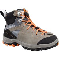 Dolomite Steinbock Goretex hiking boots