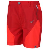 regatta-shorts-shorts-pantalons-sorcer-mountain