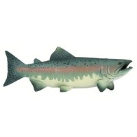 safari-ltd-figur-salmon