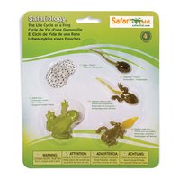 safari-ltd-cicle-de-vida-duna-figura-de-granota