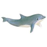 Dolphin Calf Sea Life Figure Safari Ltd NEW Toys Educational Kids Animals Adult 