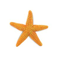 safari-ltd-figur-starfish-sea-life