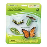 safari-ltd-ciclo-di-vita-di-una-figura-di-farfalla-monarca