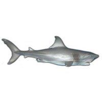 maia---borges-figura-tiburon