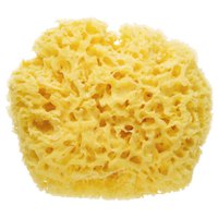 saro-natural-sponge