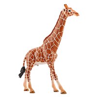 schleich-taureau-girafe-de-la-vie-sauvage