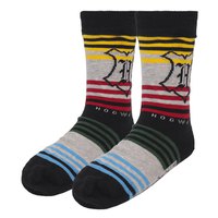 cerda-group-harry-potter-sokken