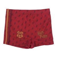 Cerda group Harry Potter Swim Boxer