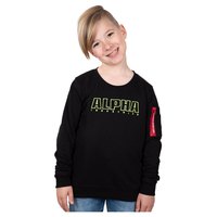 alpha-industries-embroidery-sweatshirt