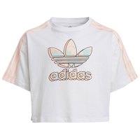 adidas-originals-crop-kurzarm-t-shirt