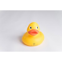 olmitos-big-duck