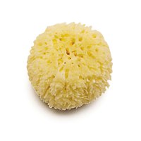 olmitos-natural-sponge