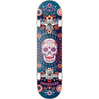 hydroponic-skateboard-mexican-co-7.75