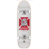 hydroponic-skateboard-pool-8.75