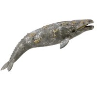 collecta-gray-whale-xl-figure