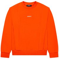 DKNY Sweatshirt D35S20