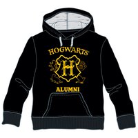 Warner bros Luvtröja Harry Potter Hogwarts Alumini