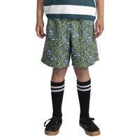 element-canyon-timber-jugend-shorts