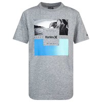hurley-camiseta-de-manga-corta-para-ninos-wave-palm-invert