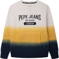 pepe-jeans-orrick-pullover