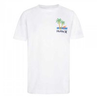 hurley-t-shirt-a-manches-courtes-mingo-886461