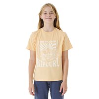 rip-curl-tropical-sunset-short-sleeve-t-shirt