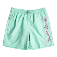 quiksilver-ungdoms-simshorts-everyday-vert-volley-14