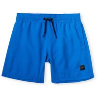 oneill-cali-hybrid-13-swimming-shorts