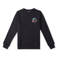 oneill-circle-surfer-pullover