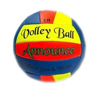 extreme-beach-ballon-volley-ball