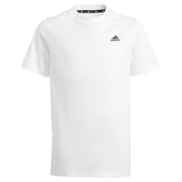 adidas-maglietta-a-maniche-corte-essentials-small-logo-cotton