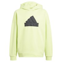 adidas-future-icons-logo-hoodie