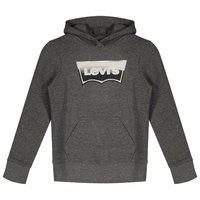 levis---batwing-fill-teenager-hoodie