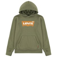 levis---batwing-screenprint-teen-hoodie