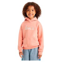 levis---poster-logo-hoodie-voor-kinderen