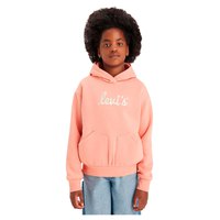 levis---poster-logo-tiener-hoodie