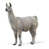 collecta-llama-m