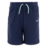 levis---seasonal-sweat-shorts