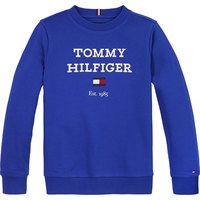 tommy-hilfiger-dessuadora-kb0kb08713