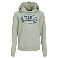 jack---jones-logo-2-col-24-hoodie