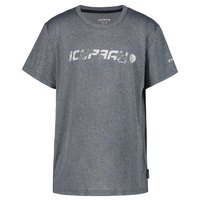 Icepeak T-shirt Kincaid