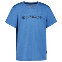 icepeak-camiseta-kincaid