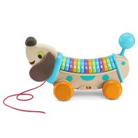 vtech-childrens-wooden-puppy-discovers-lyrics-and-songs-eco