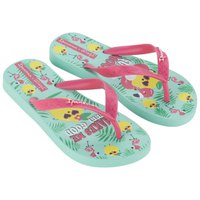ipanema-and-mr-wonderful-iv-slippers