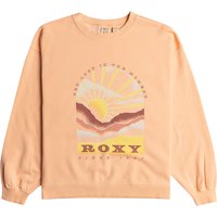 roxy-dessuadora-lineup-terry