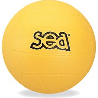 sea-balon-voleibol-principiante