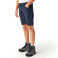 regatta-sorcer-ii-shorts-pants