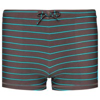 Protest Marcus swimming shorts