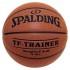 Spalding Pallone Pallacanestro NBA Trainer Heavy